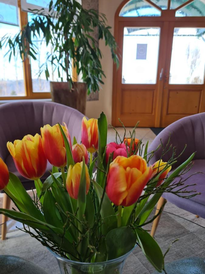 Dreilandhof Otel Fürstenfeld Dış mekan fotoğraf